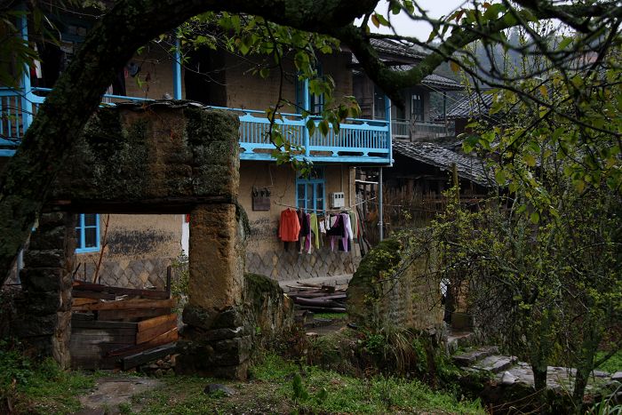 雨中的桂峰