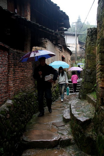 雨中的桂峰