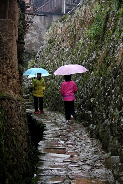 雨中的桂峰