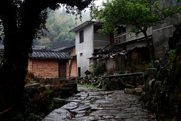 雨中的桂峰