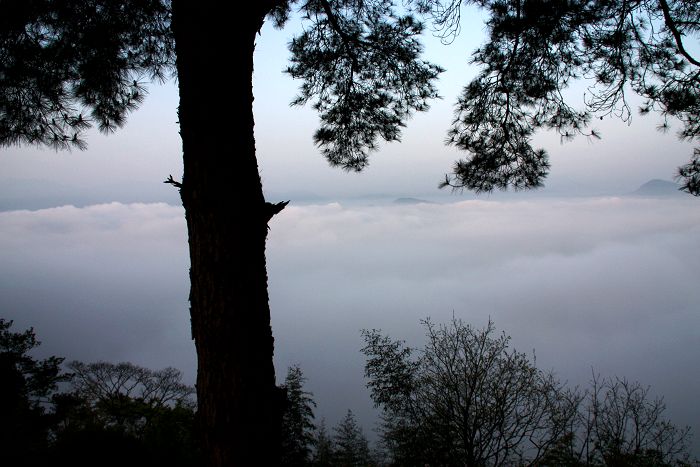 乡野清风摄影作品专辑（陆续推出新作）