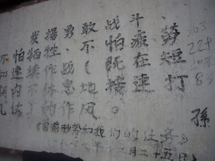 龙门古镇与新登桃花