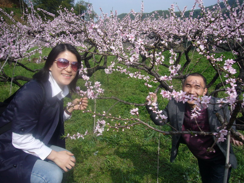龙门古镇与新登桃花