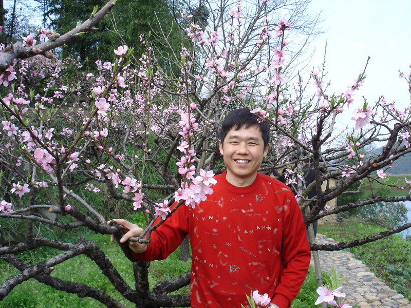 龙门古镇与新登桃花