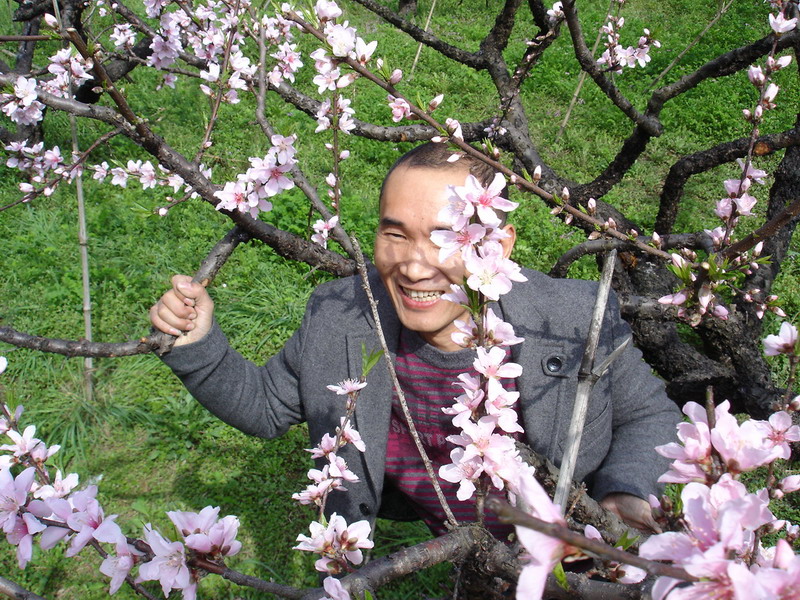 龙门古镇与新登桃花