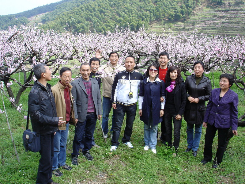 龙门古镇与新登桃花