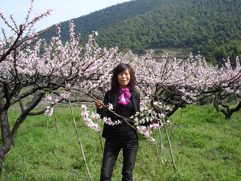龙门古镇与新登桃花
