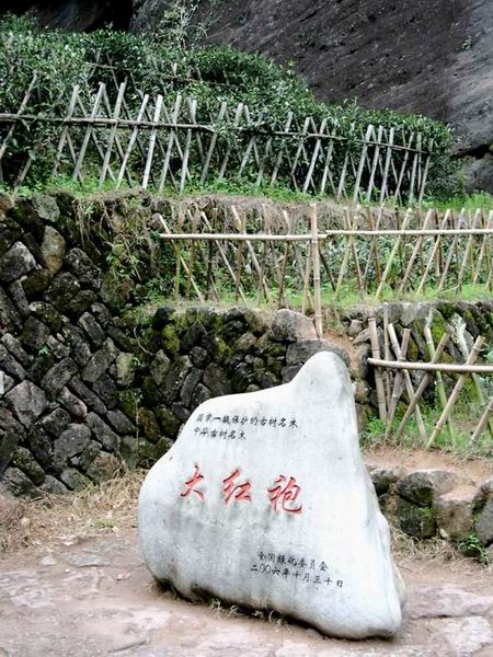 祝贺我想快乐六周岁生日