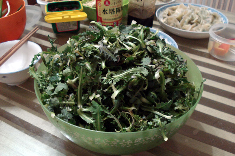 春天到，野菜香，看看你认识和吃过这些野菜吗？
