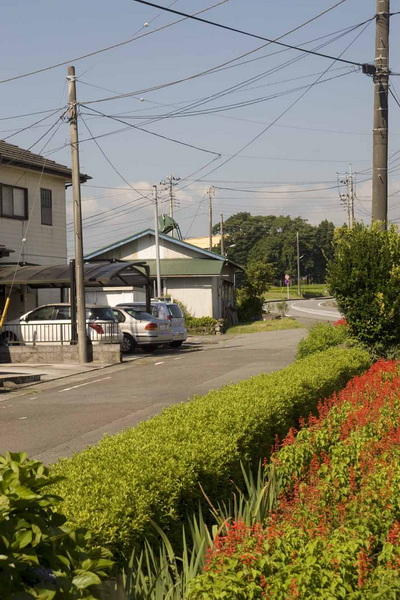 走马观花踏日本