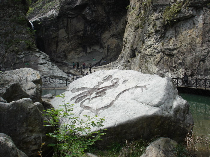 特别的旅行