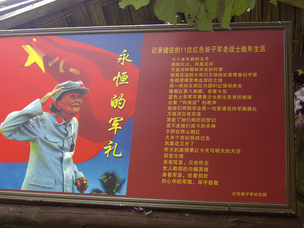 走天涯