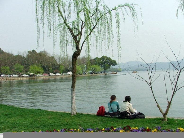 难得露脸 春天到了上点花吧