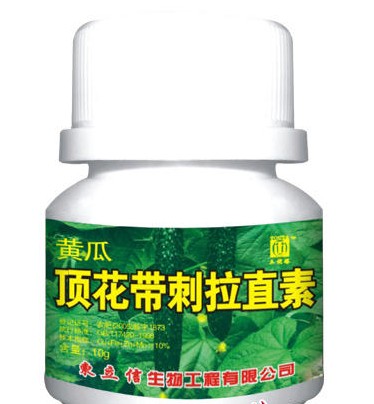 指南]这样的黄瓜和西红柿绝对吃不得