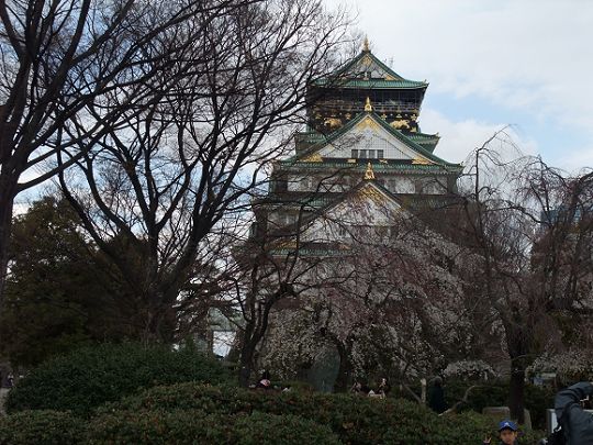 日本赏樱花