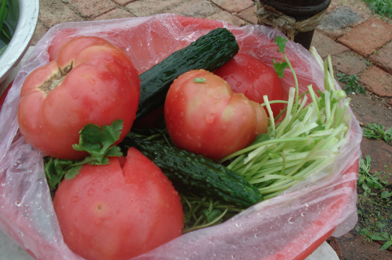 周末和同事自驾游，烧烤、采野菜、赏风景！