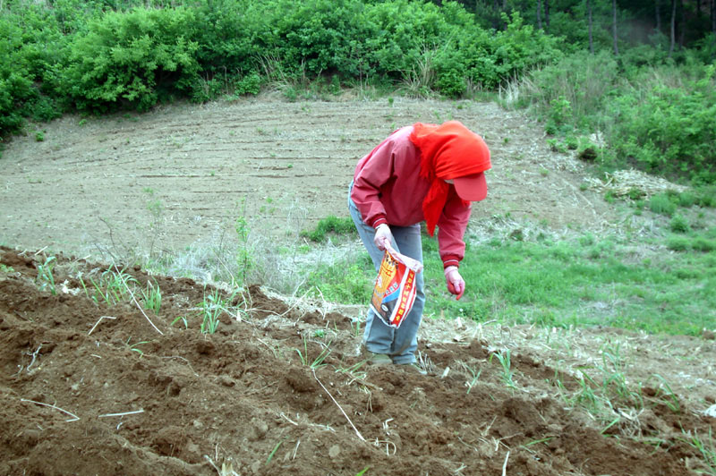 周末和同事自驾游，烧烤、采野菜、赏风景！