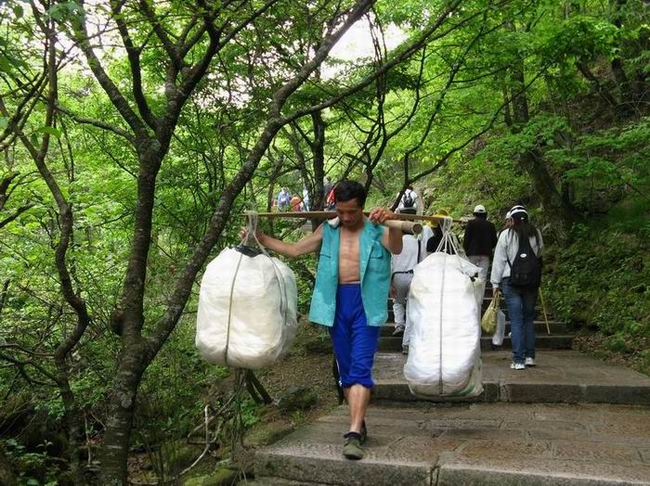 肝友结伴游黄山、相聚三天乐逍遥