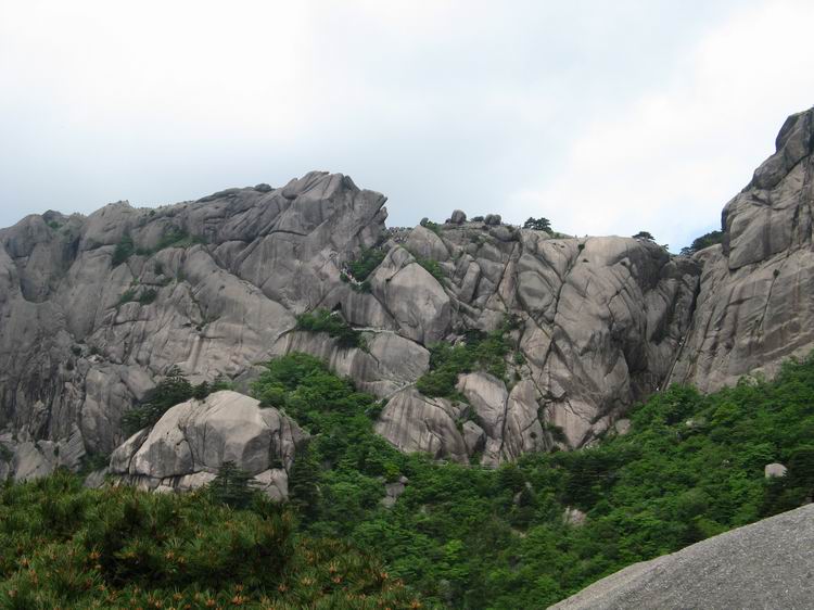 肝友结伴游黄山、相聚三天乐逍遥