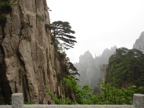 肝友结伴游黄山、相聚三天乐逍遥