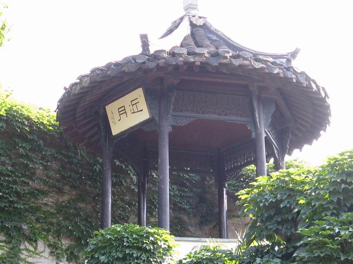 肝友结伴游黄山、相聚三天乐逍遥