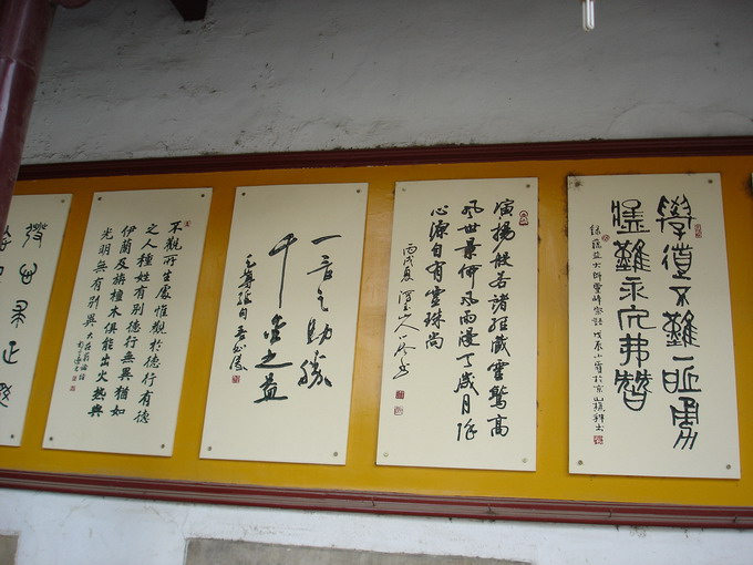 肝友结伴游黄山、相聚三天乐逍遥
