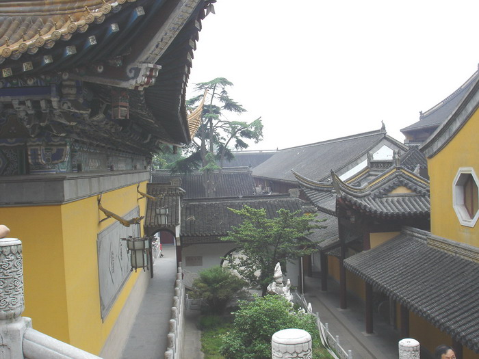 肝友结伴游黄山、相聚三天乐逍遥