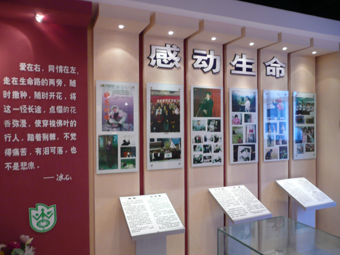 [原创]上海市肝移植康复联谊会举办移植会员电脑培训班