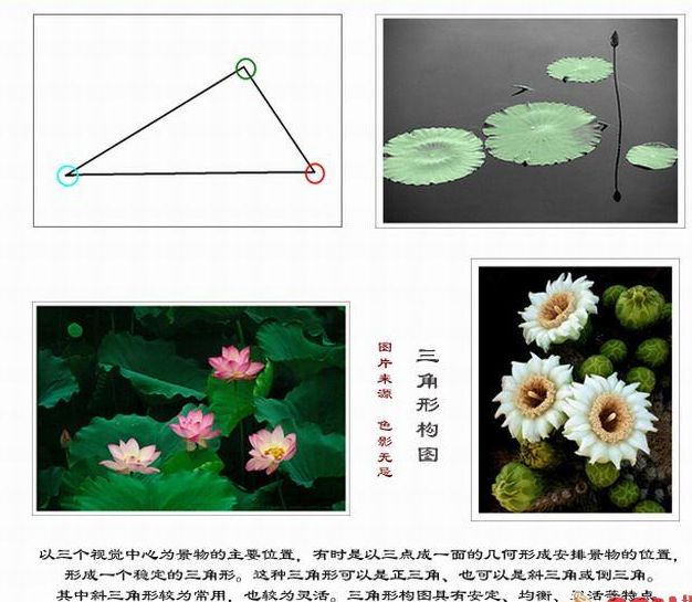 o(∩_∩)o＝摄影乐园开学啦＝o(∩_∩)o