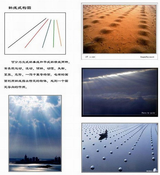 o(∩_∩)o＝摄影乐园开学啦＝o(∩_∩)o