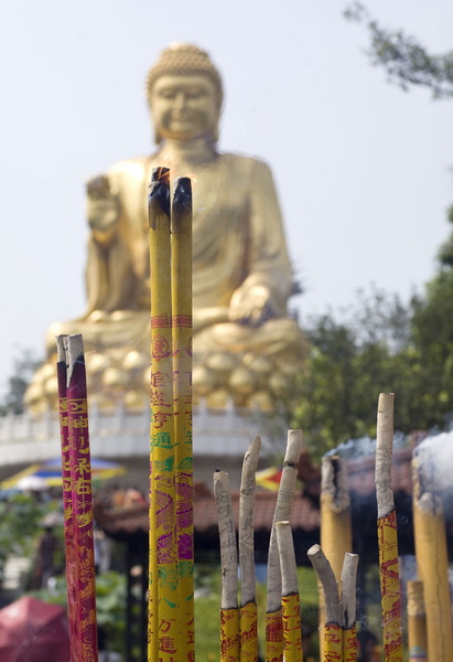 赏荷