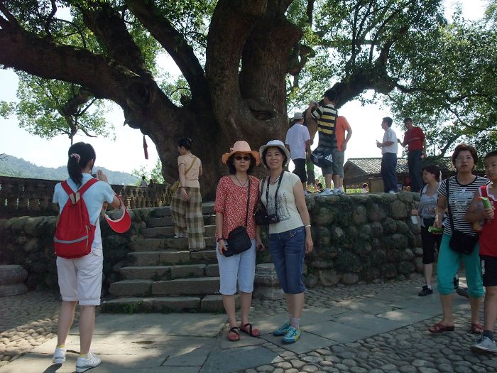 愉悦的旅游
