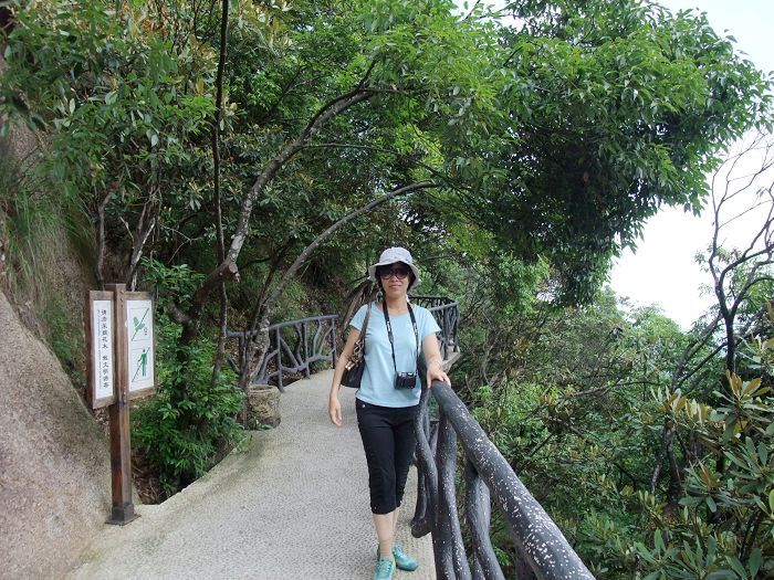 愉悦的旅游