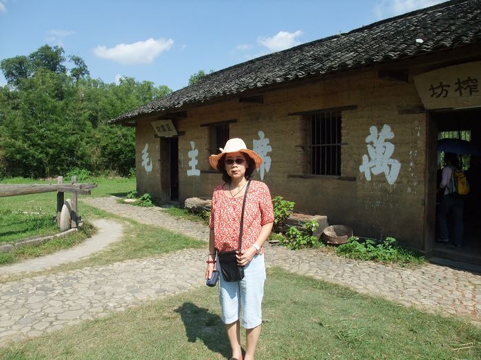 愉悦的旅游