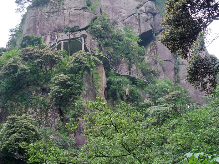 愉悦的旅游