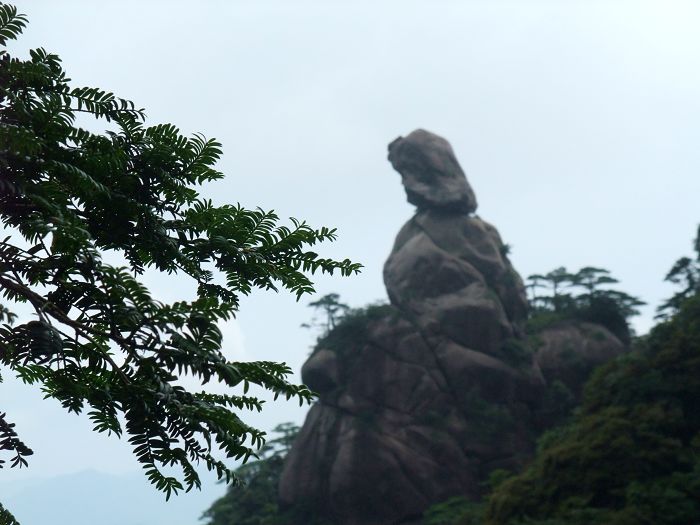 愉悦的旅游