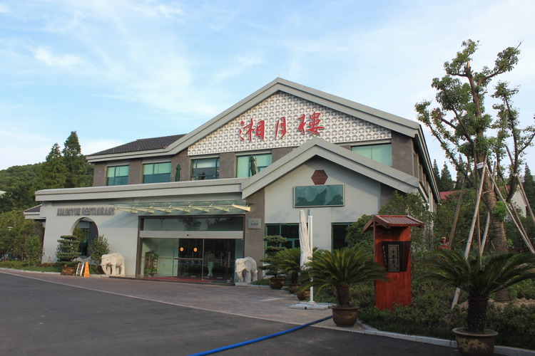 快乐又一天——丁小姐9岁了