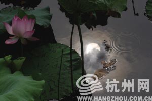 日全食拍摄中的意外物