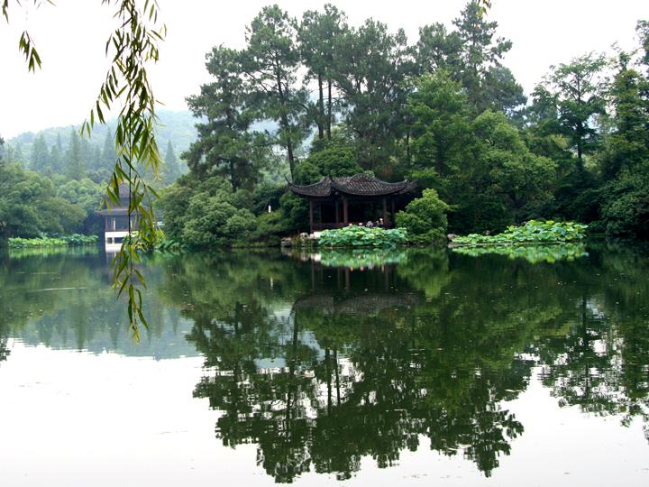 【原创】 静静的荷塘