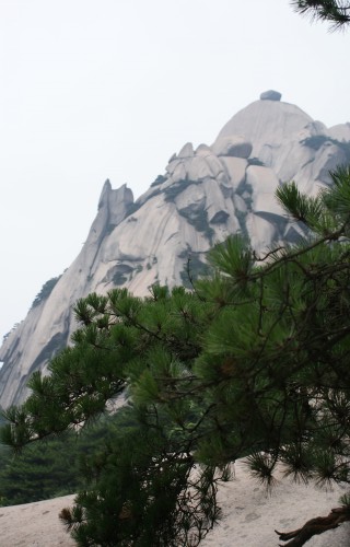 再发几张《天柱山》的国画