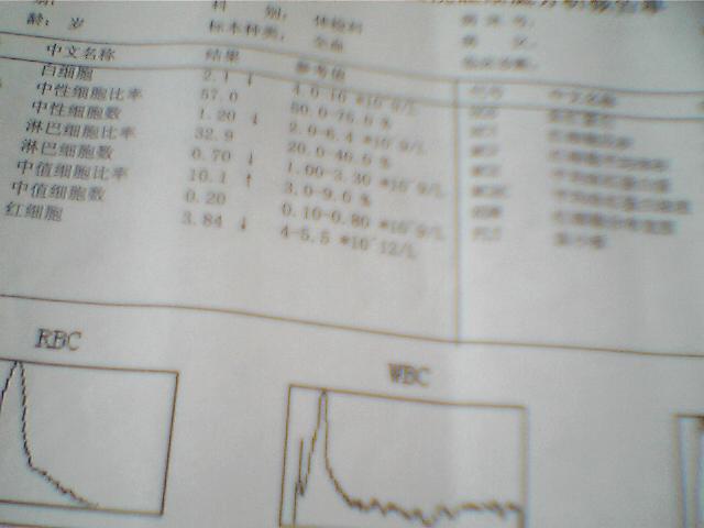 帮帮忙