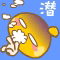[分享]海明邀我们游怀柔