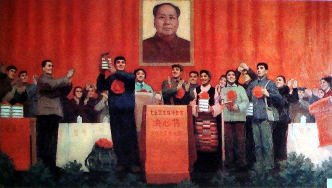 我的收藏——