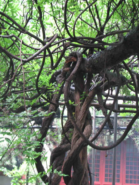 [分享]海明邀我们游怀柔