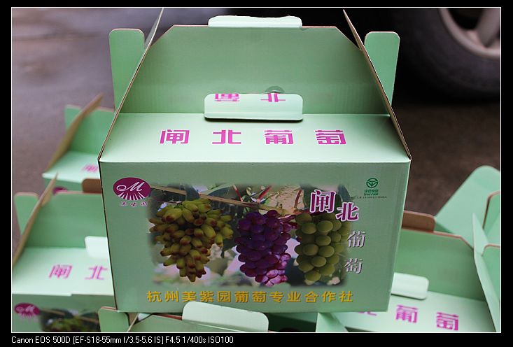 欢聚葡萄园