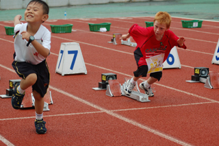 2009年第17届世界移植运动会  专题报道