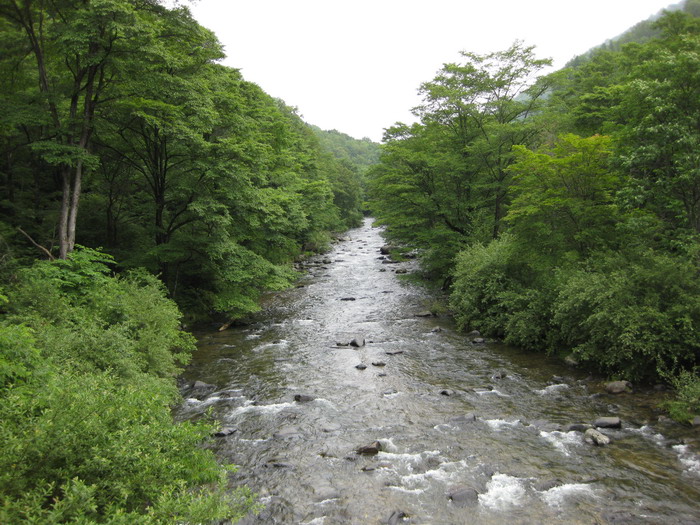 长白山风光