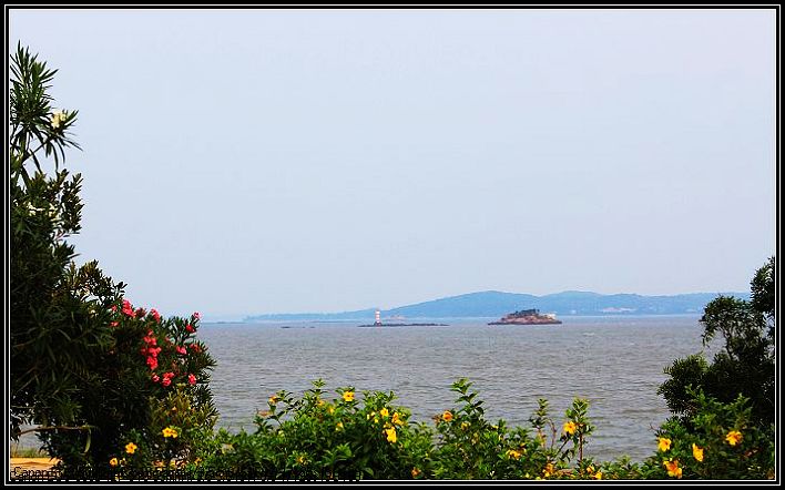 厦门会友尝景