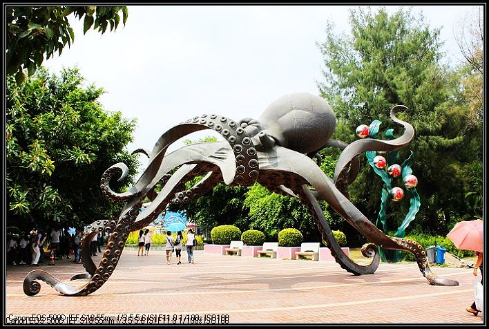 厦门会友尝景