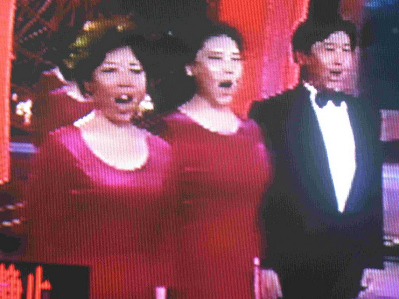 移植歌手小太阳参加中央电视台国庆音乐电视演出